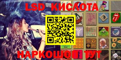 дживик Моздок
