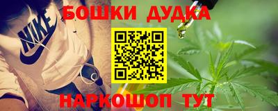 дживик Моздок
