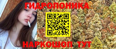 ешки Нальчик