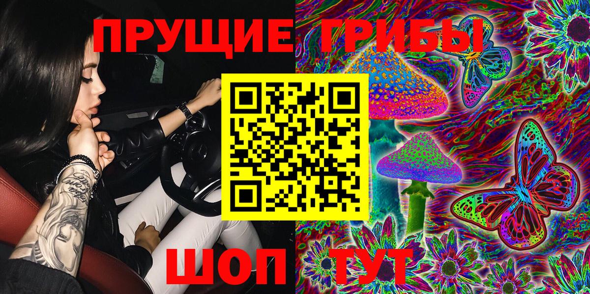 Галлюциногенные грибы Psilocybe  Галлюциногенные грибы MAGIC MUSHROOMS  Вход с VPN  Шадринск 