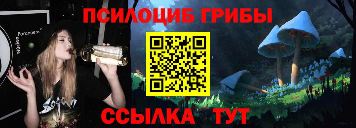Галлюциногенные грибы GOLDEN TEACHER Шадринск